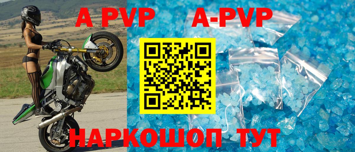 A PVP СК КРИС Благодарный