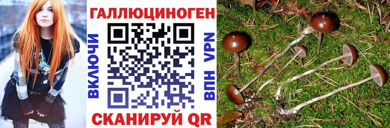 Псилоцибиновые грибы мицелий  Благодарный 