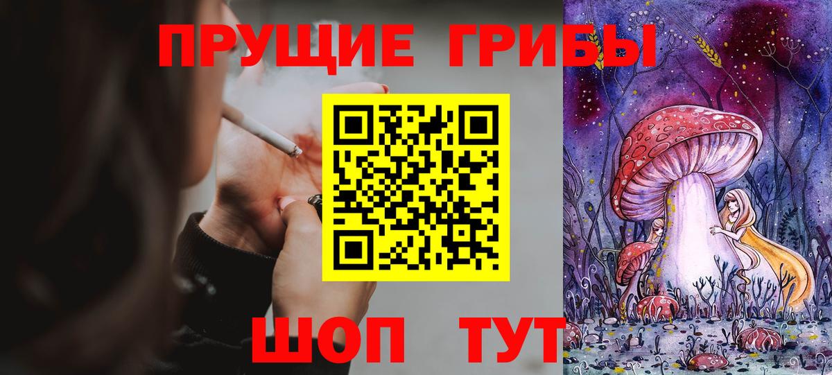 Галлюциногенные грибы Psilocybe Благодарный